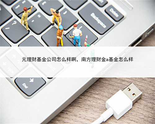 元理财基金公司怎么样啊，南方理财金a基金怎么样