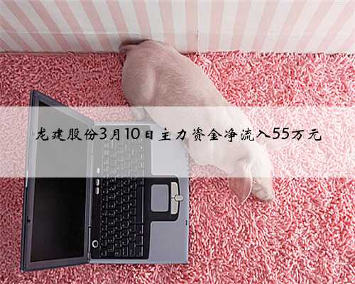 龙建股份3月10日主力资金净流入55万元