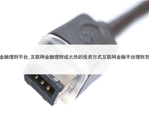 互联网金融理财平台_互联网金融理财成火热的投资方式互联网金融平台理财怎