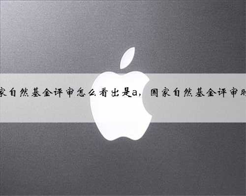 国家自然基金评审怎么看出是a，国家自然基金评审时间