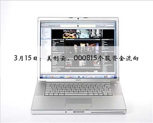 3月15日：美利云，000815个股资金流向