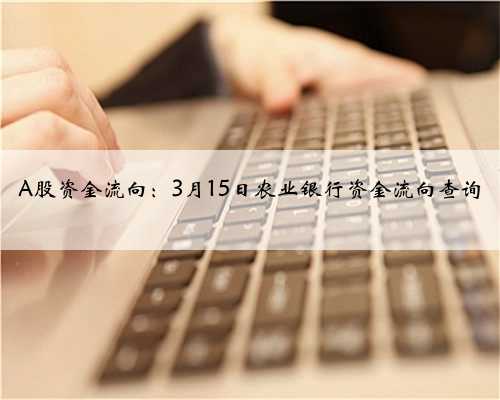 A股资金流向:3月15日农业银行资金流向查询
