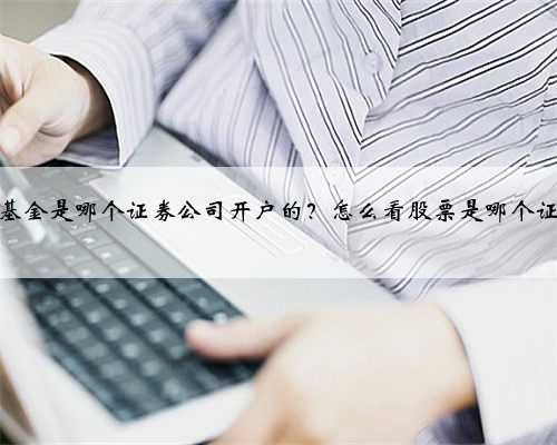 怎么看基金是哪个证券公司开户的？怎么看股票是哪个证券公司