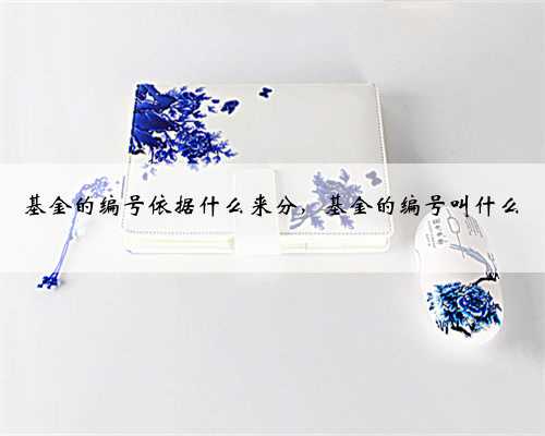 基金的编号依据什么来分，基金的编号叫什么