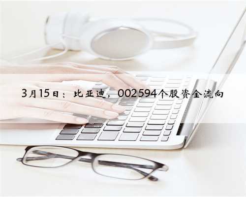 3月15日：比亚迪，002594个股资金流向