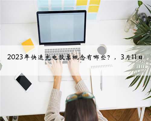 2023年快速充电股票概念有哪些？，3月11日
