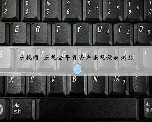 乐视网_乐视全年负资产乐视最新消息