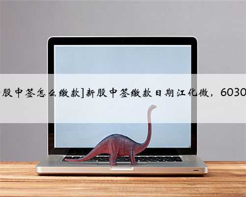 [新股中签怎么缴款]新股中签缴款日期江化微，603078