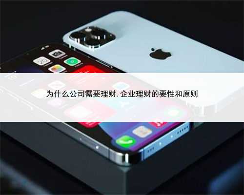 为什么公司需要理财,企业理财的要性和原则