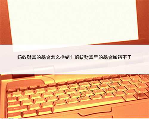 蚂蚁财富的基金怎么撤销？蚂蚁财富里的基金撤销不了