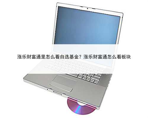 涨乐财富通里怎么看自选基金？涨乐财富通怎么看板块