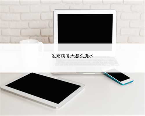 发财树冬天怎么浇水