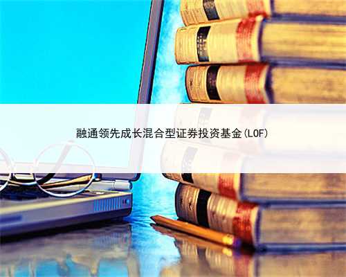 融通领先成长混合型证券投资基金(LOF)