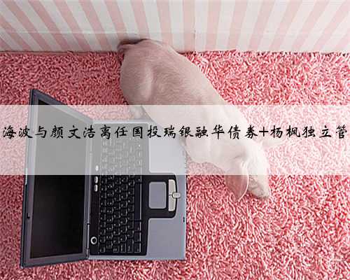 汤海波与颜文浩离任国投瑞银融华债券 杨枫独立管理