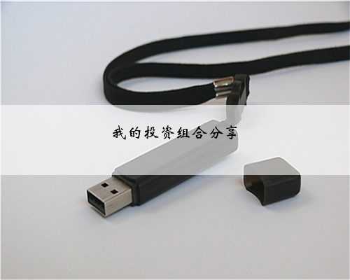 我的投资组合分享