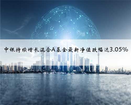 中银持续增长混合A基金最新净值跌幅达3.05%